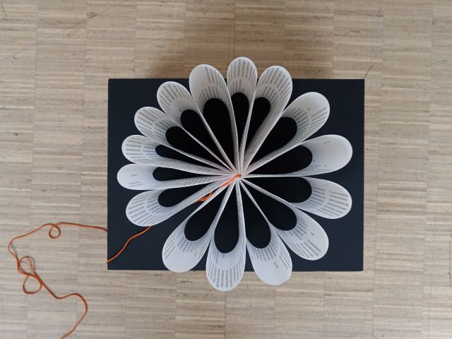 2025_Bluetenbuch_01_cIna-Schneider_cChristina-Schmid