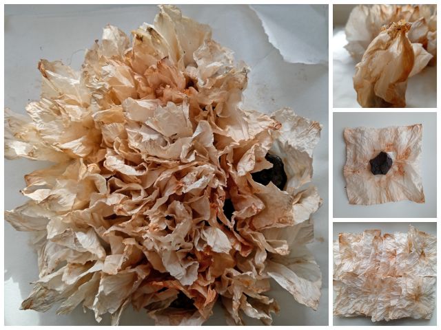 2025_Stone-Paper_07_cIna-Schneider