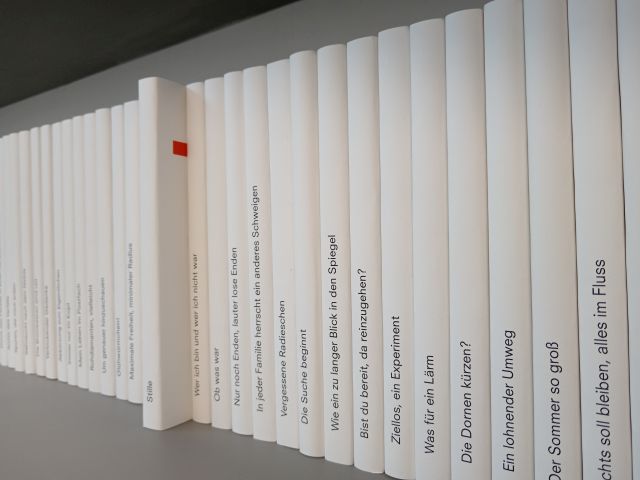 2026_Book-to-be_cInaSchneider